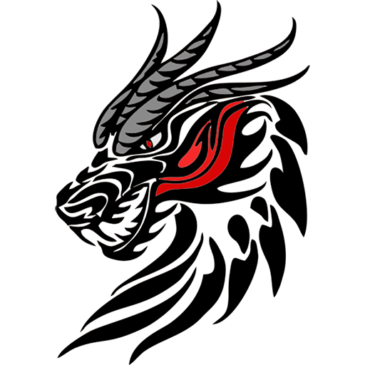 Welcome to Dragon Zone