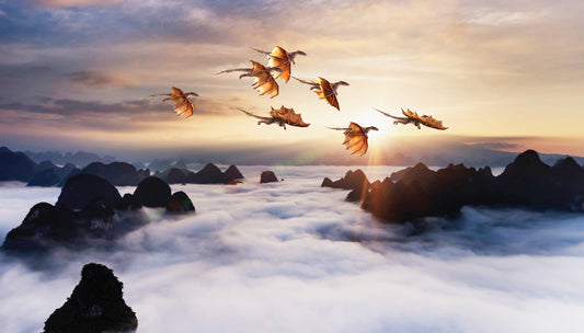 Dragon's Dawn Flight Diamond Art