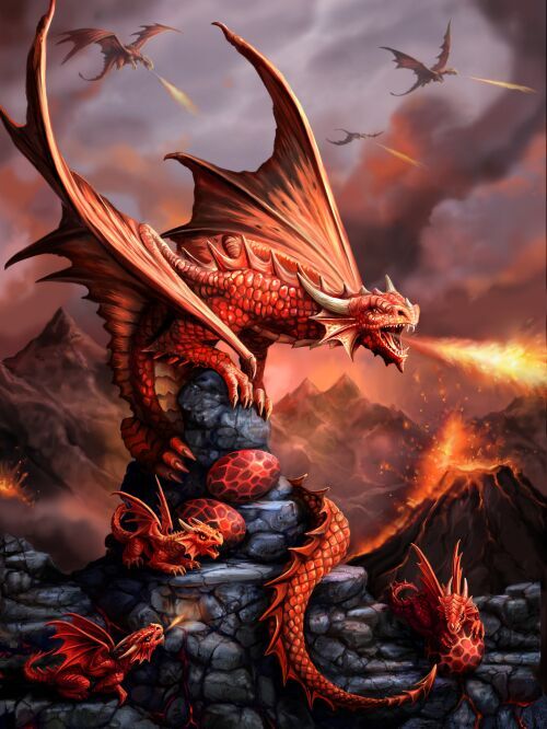 Anne Stokes Fire Dragon 40cm x 30cm 3D Lenticular Print