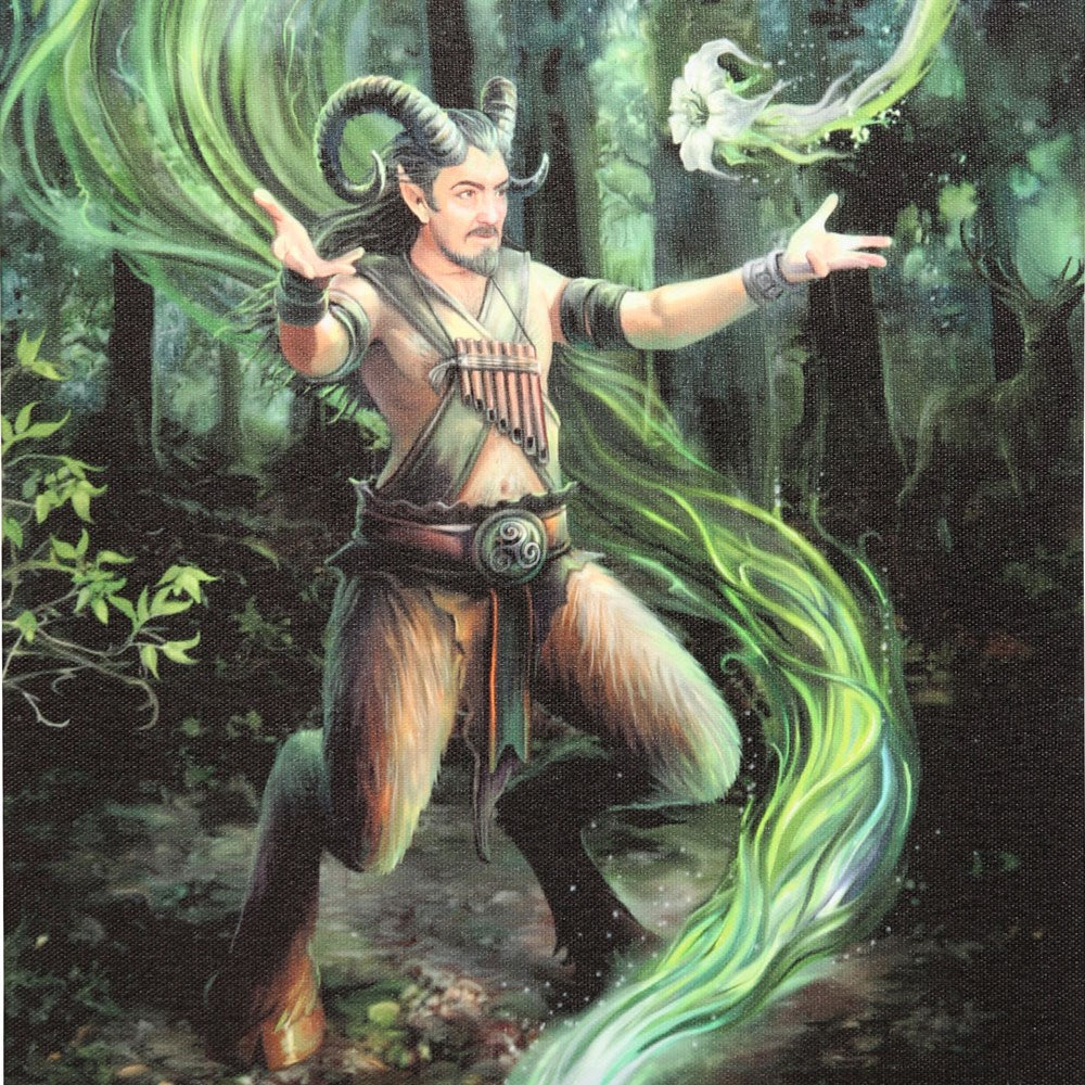 19X25CM Earth Element Wizard Canvas Plaque By Anne Stokes