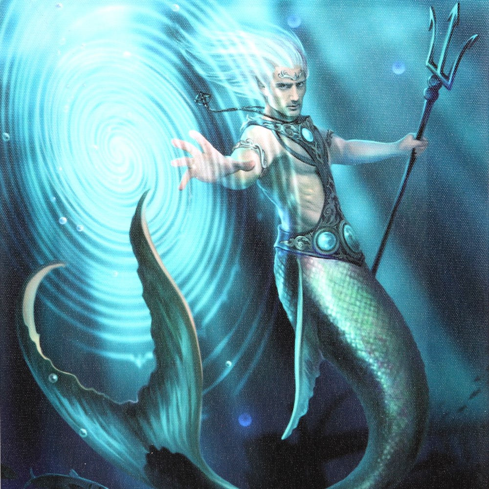 19X25CM Water Element Wizard Canvas Plaque By Anne Stokes