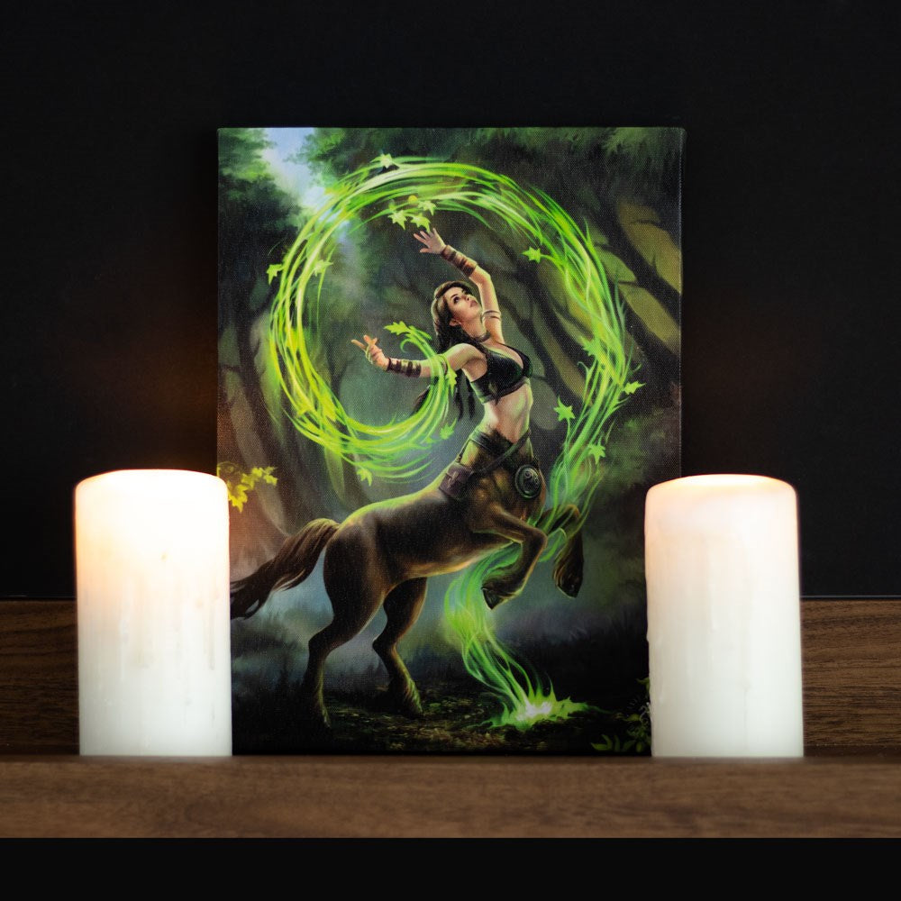 19X25CM Earth Element Sorceress Canvas Plaque By Anne Stokes