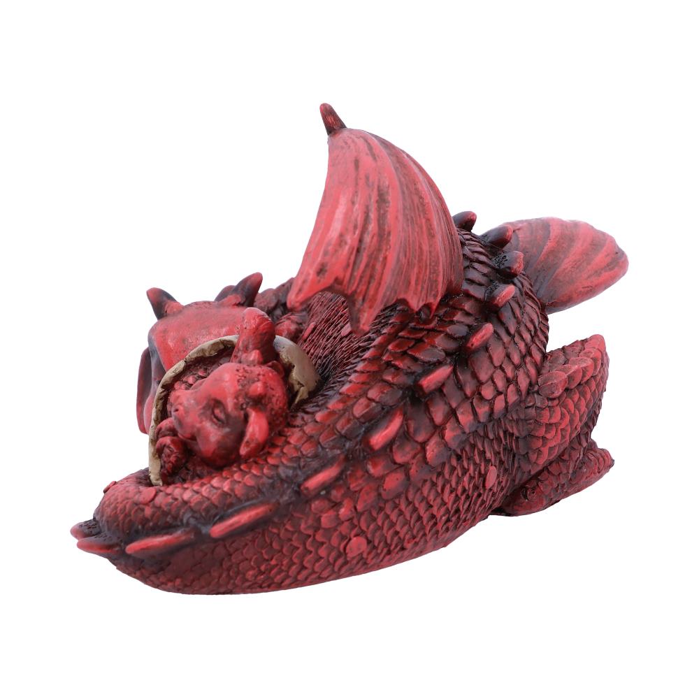 Dream a Little Dream Red Dragons 20.3cm
