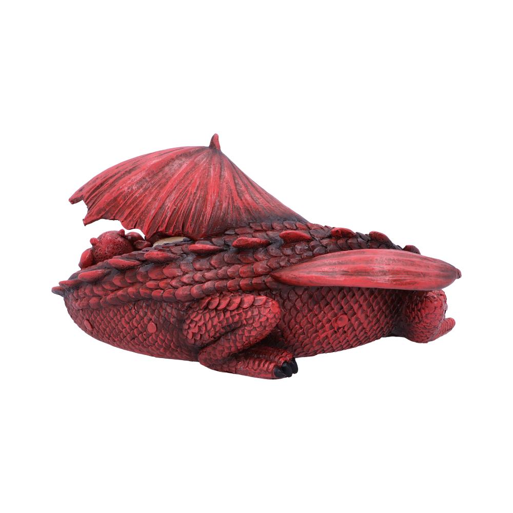 Dream a Little Dream Red Dragons 20.3cm