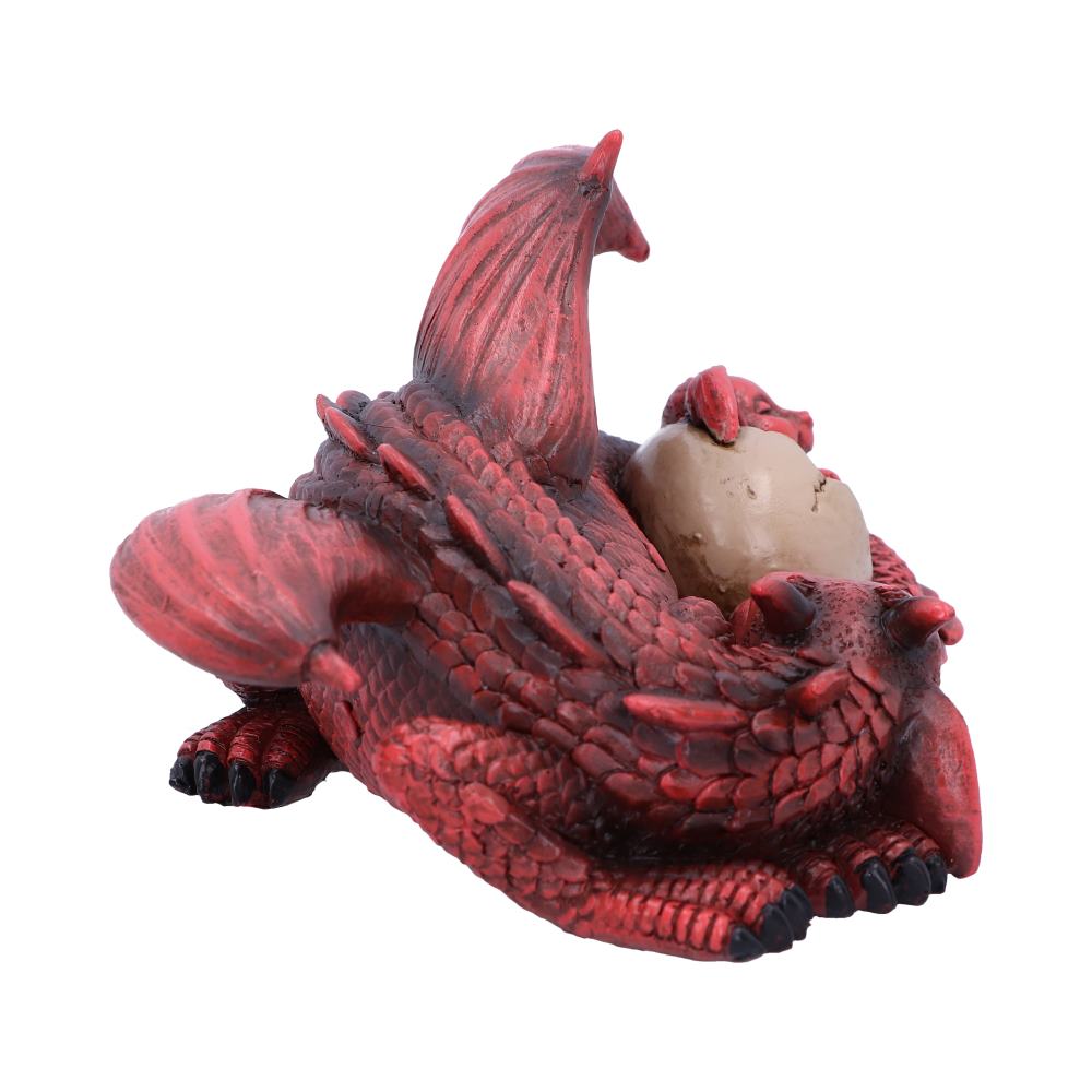 Dream a Little Dream Red Dragons 20.3cm