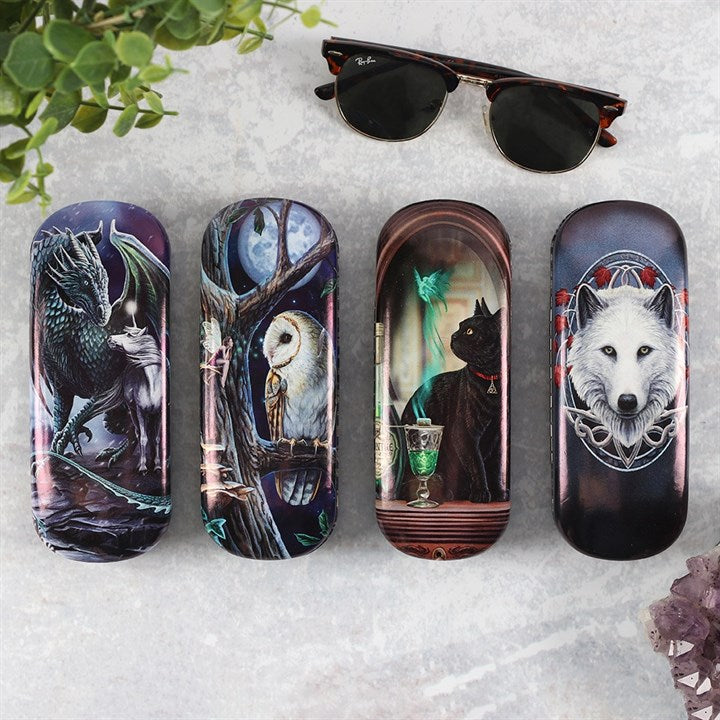 Protector of Magick glasses case by Lisa Parker