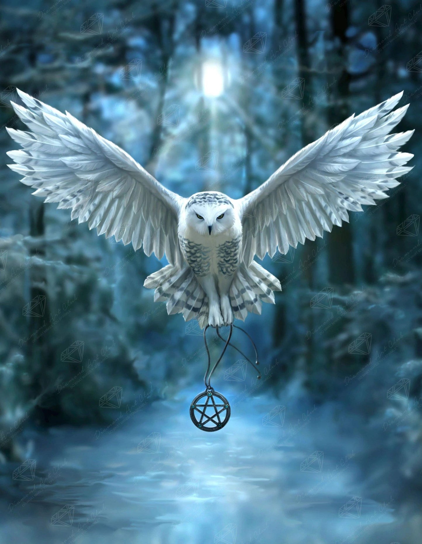 Awake Your Magic Diamond Art by Anne Stokes