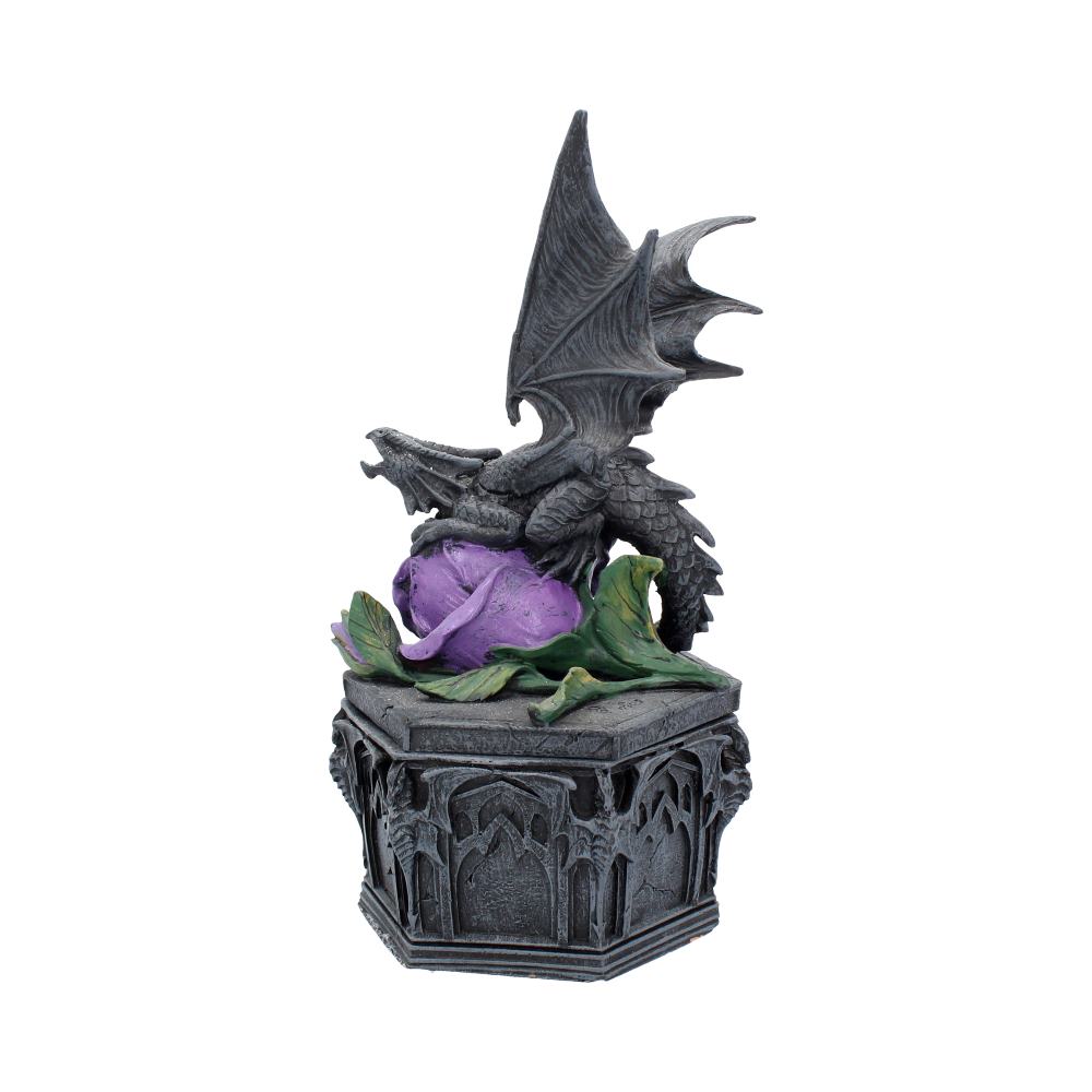Dragon Beauty Box Anne Stokes 25cm