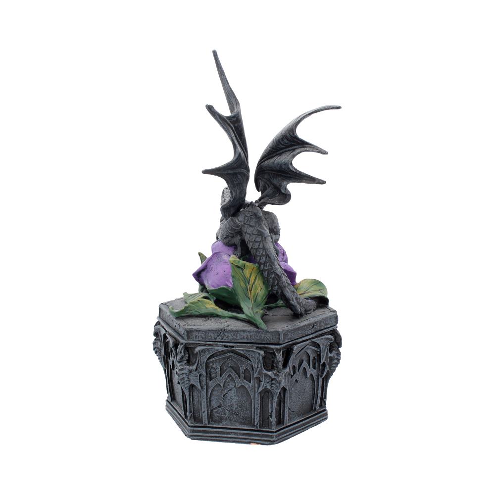 Dragon Beauty Box Anne Stokes 25cm