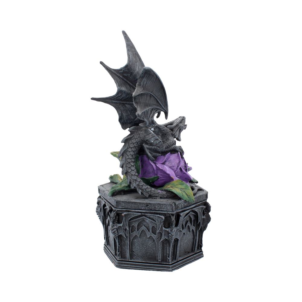 Dragon Beauty Box Anne Stokes 25cm