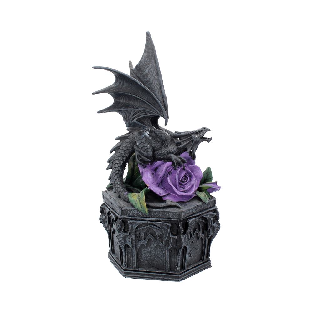 Dragon Beauty Box Anne Stokes 25cm