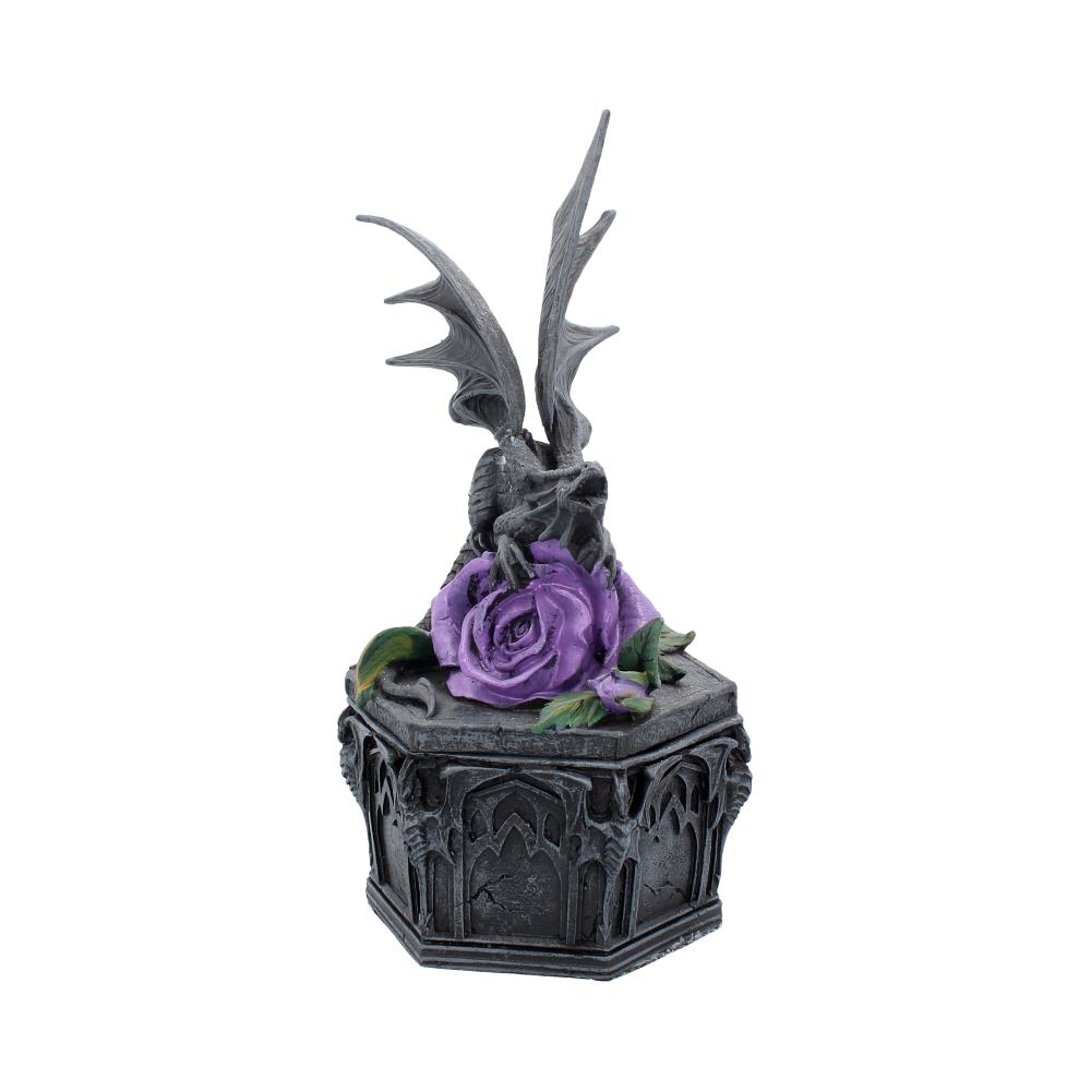Dragon Beauty Box Anne Stokes 25cm