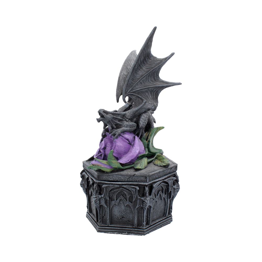 Dragon Beauty Box Anne Stokes 25cm