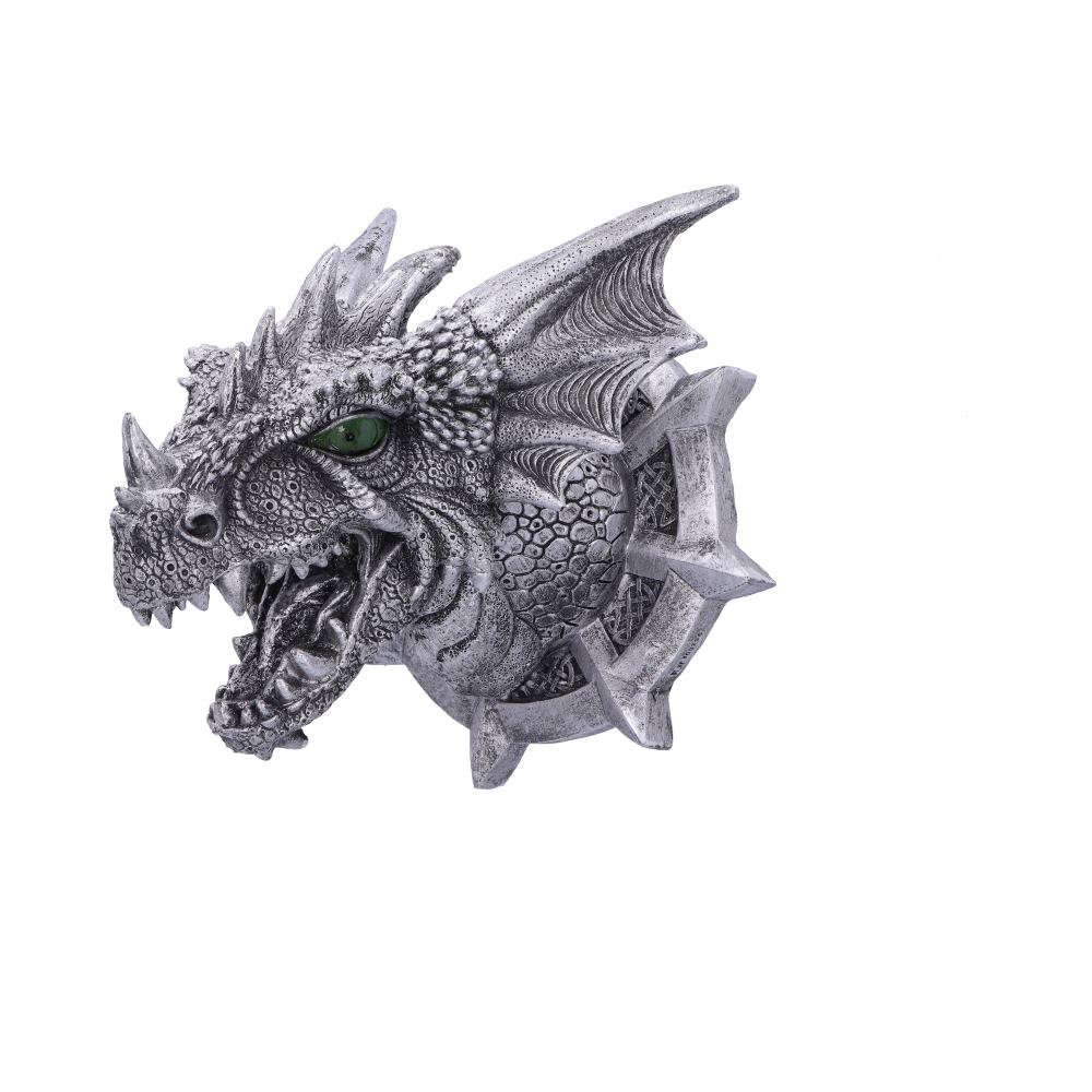 Ferox Dragon Head Wall Plaque