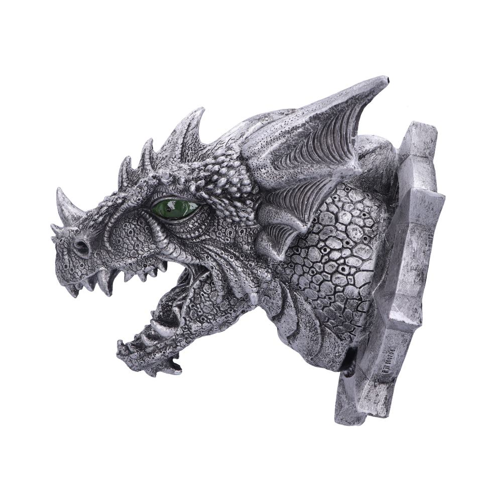 Ferox Dragon Head Wall Plaque