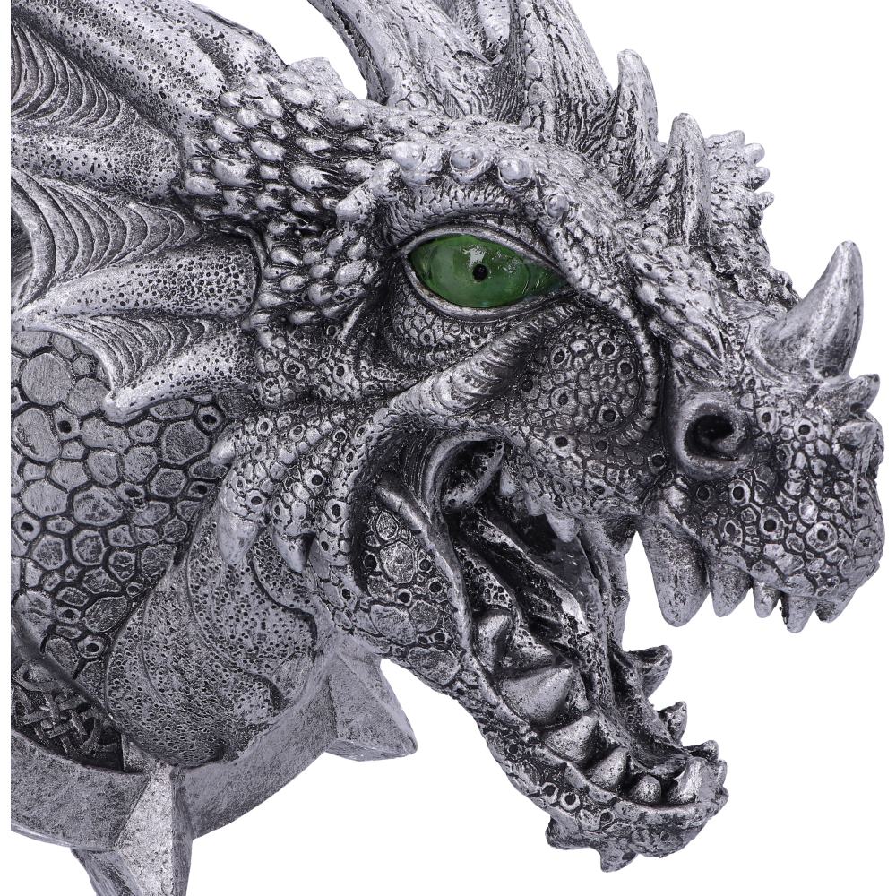 Ferox Dragon Head Wall Plaque