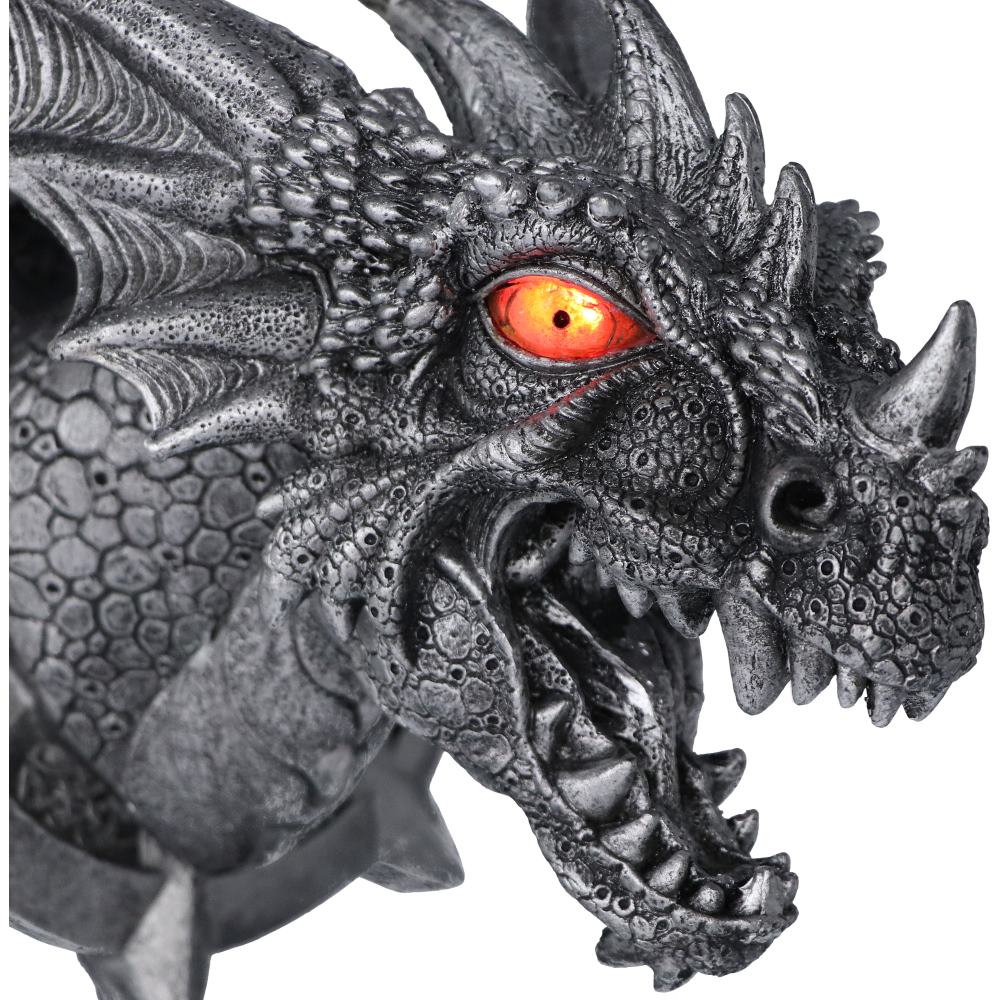 Ferox Dragon Head Wall Plaque