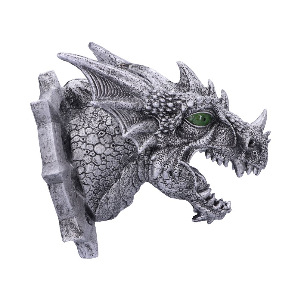 Ferox Dragon Head Wall Plaque