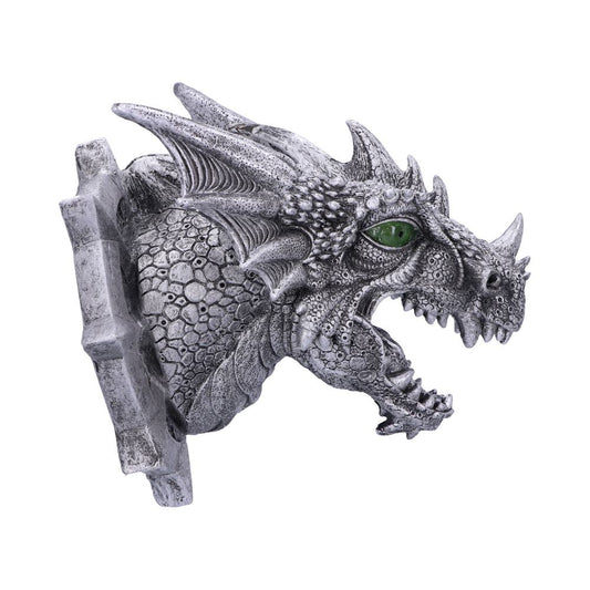 Ferox Dragon Head Wall Plaque