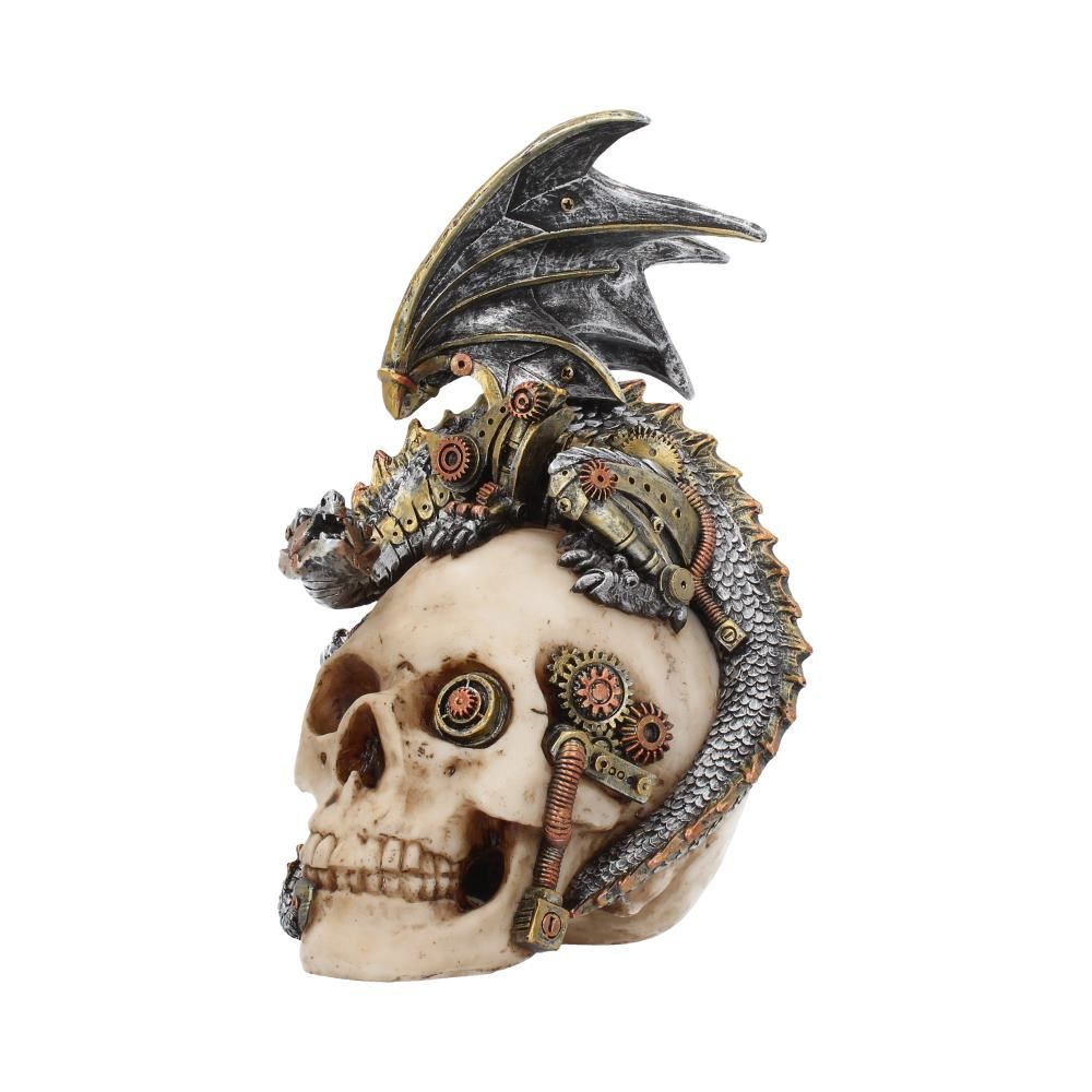 Steel Wing Dragon Skull 21cm