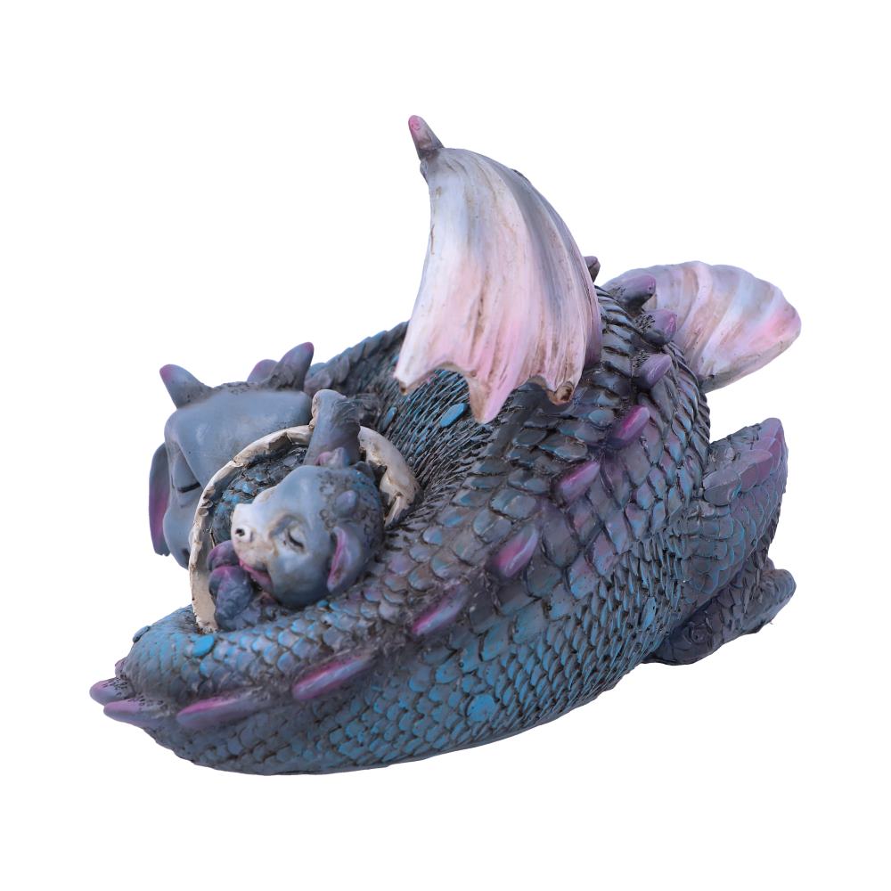 Dream a Little Dream Blue Dragons 20.3cm