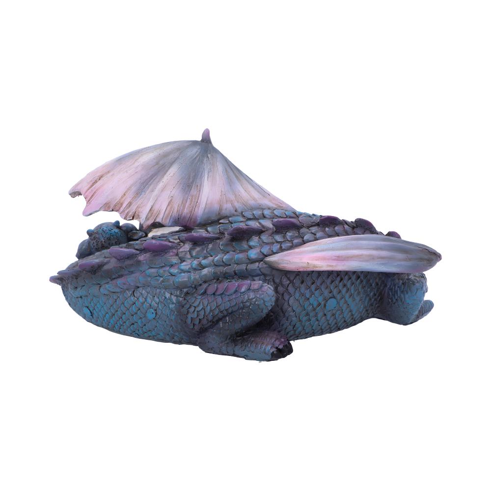 Dream a Little Dream Blue Dragons 20.3cm