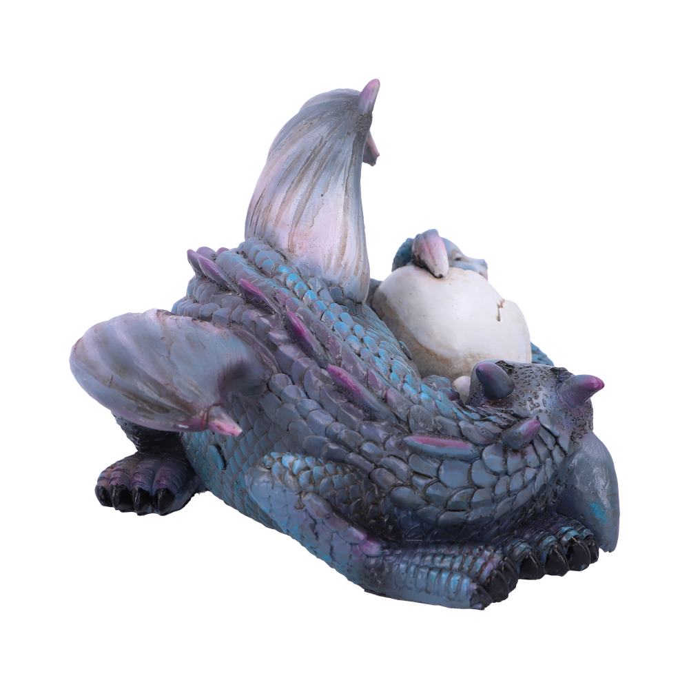 Dream a Little Dream Blue Dragons 20.3cm