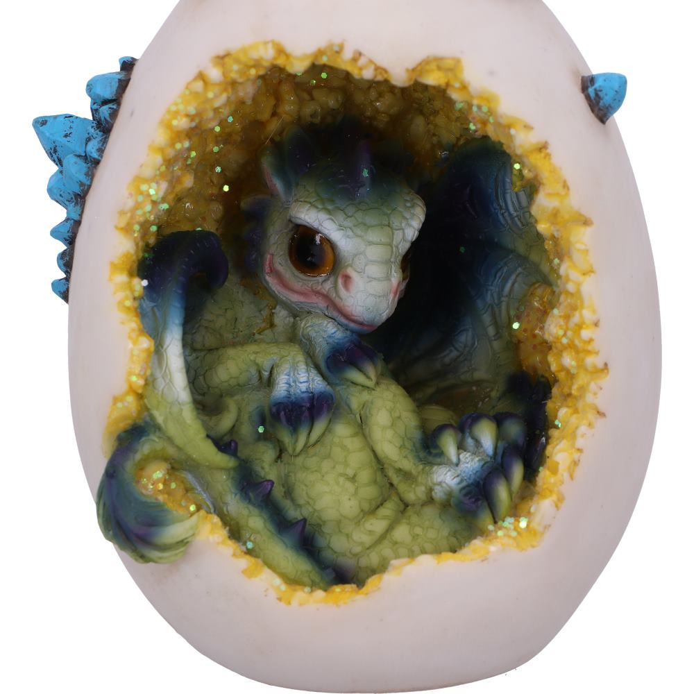 Hatchling Glory Backflow Incense Burner 17cm
