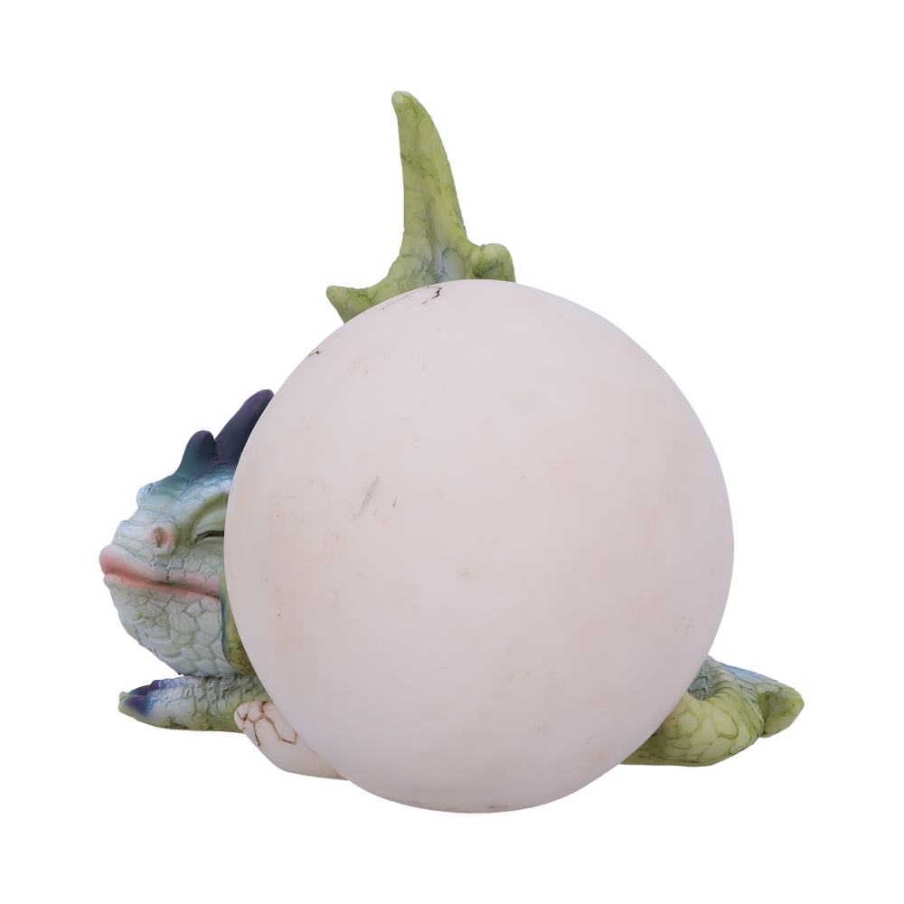 Hatchling's Rest 12cm
