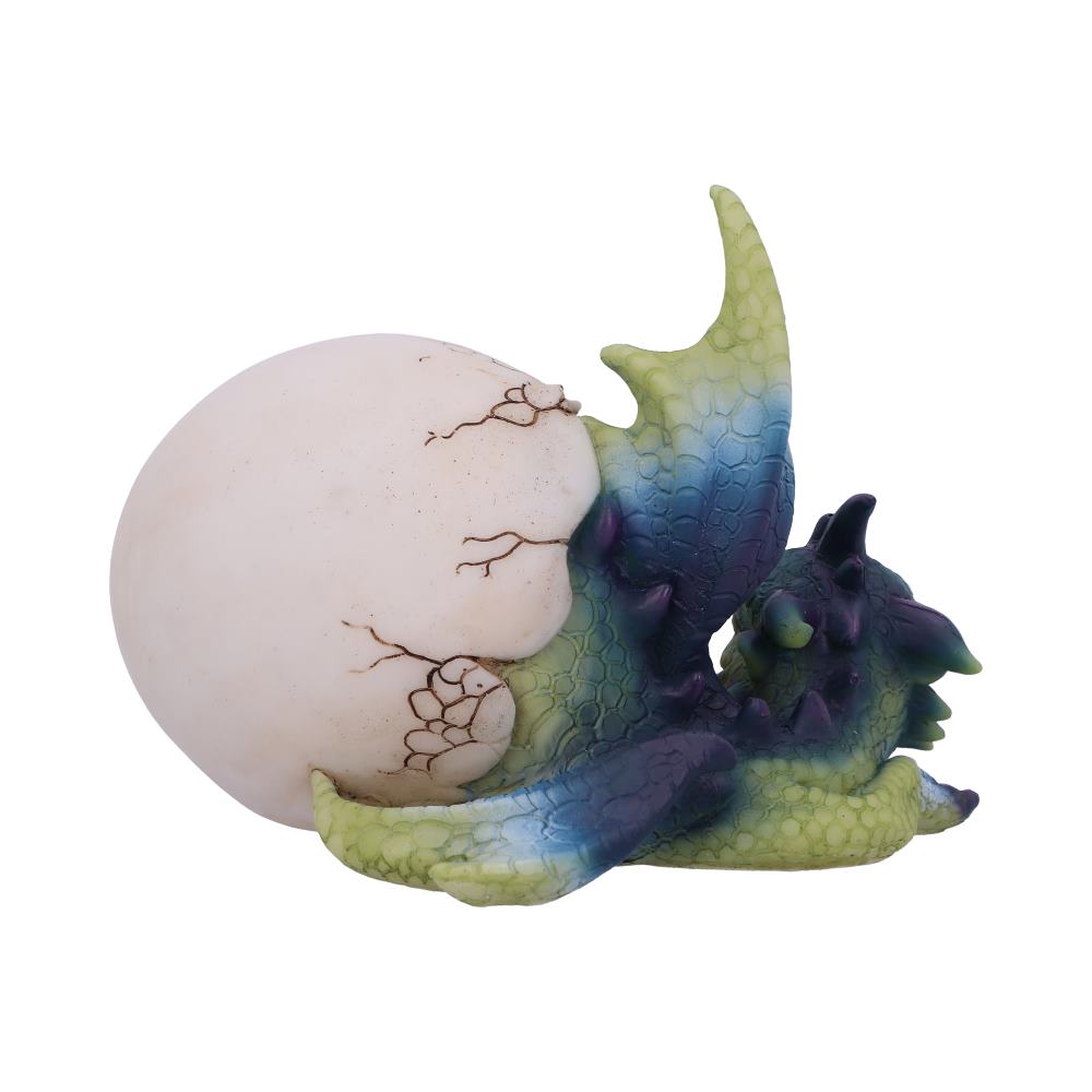 Hatchling's Rest 12cm