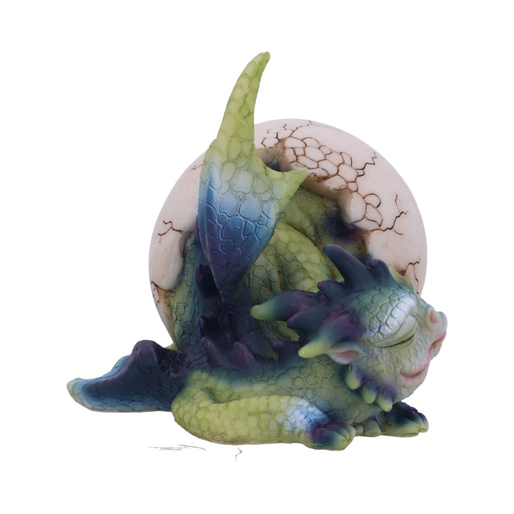 Hatchling's Rest 12cm