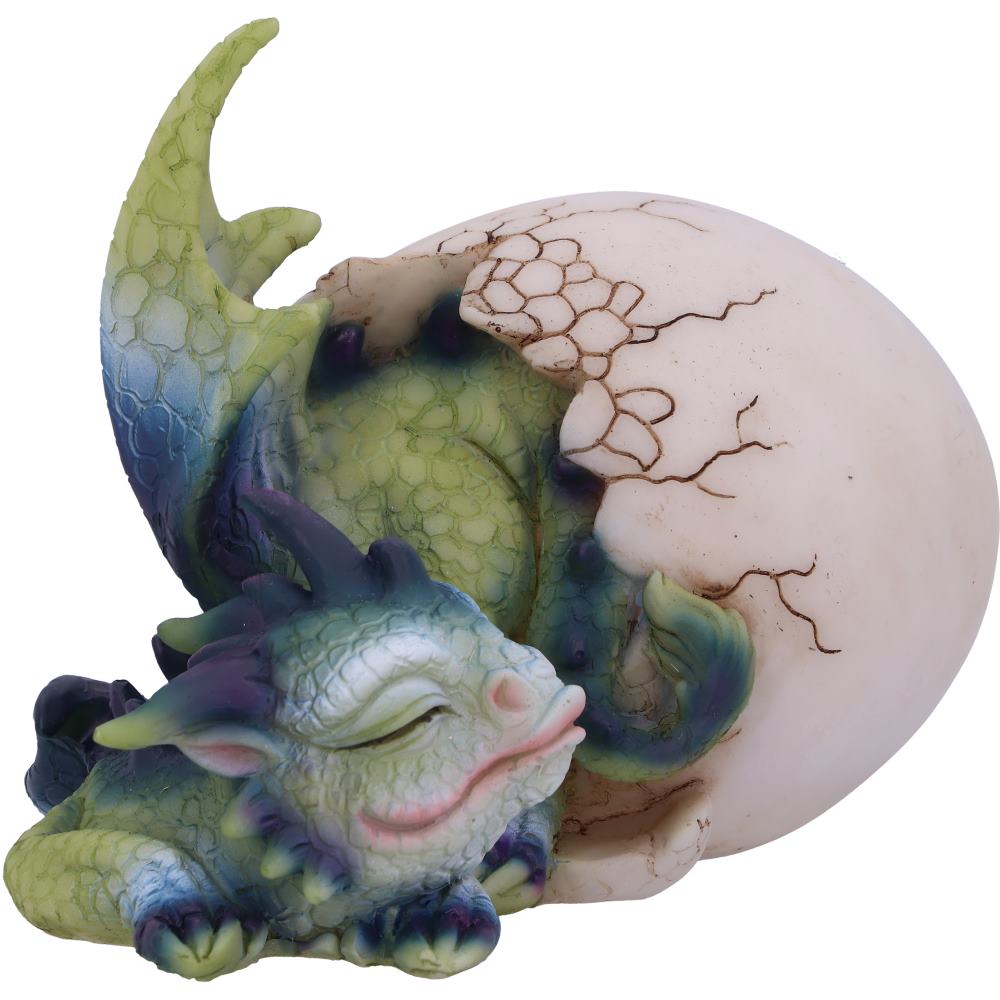 Hatchling's Rest 12cm
