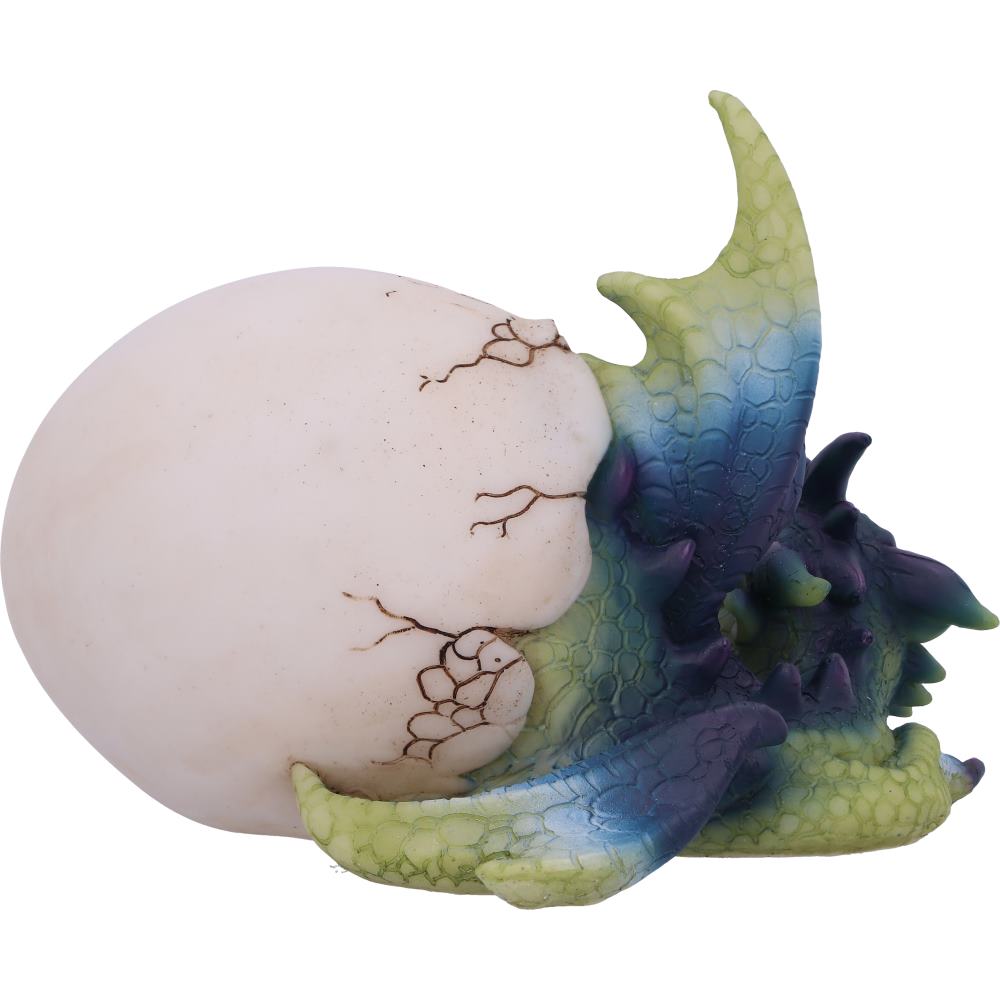 Hatchling's Rest 12cm