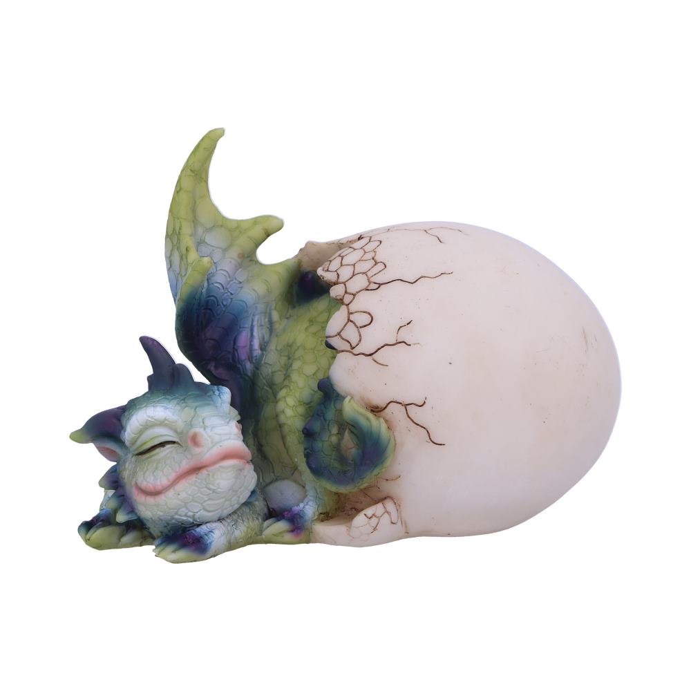 Hatchling's Rest 12cm