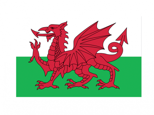 Welsh Dragon Key Ring