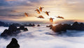 Dragon's Dawn Flight Diamond Art