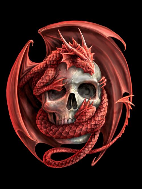 Anne Stokes Dragon & Skull 40cm x 30cm 3D Lenticular Print
