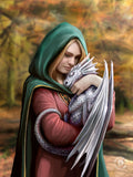 Anne Stokes Safe Haven 40cm x 30cm 3D Lenticular Print