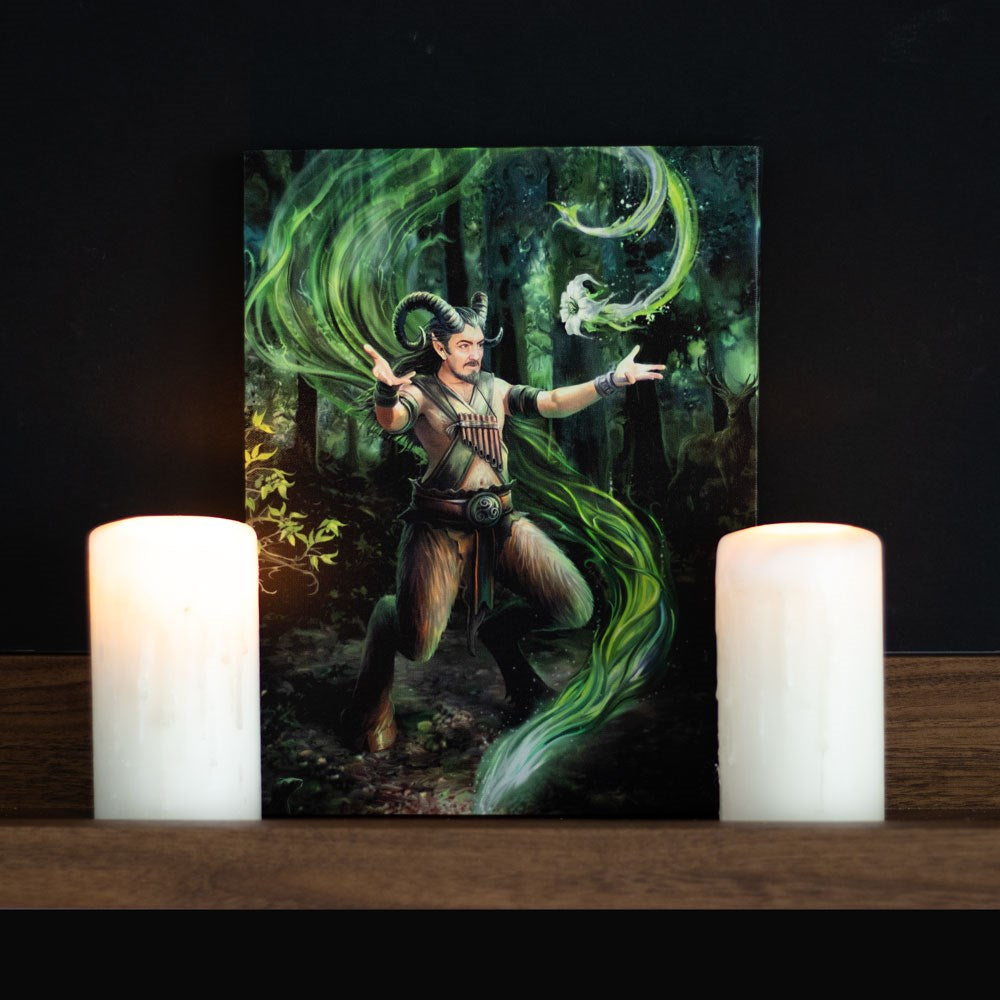 19X25CM Earth Element Wizard Canvas Plaque By Anne Stokes