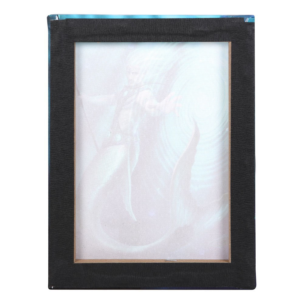 19X25CM Water Element Wizard Canvas Plaque By Anne Stokes