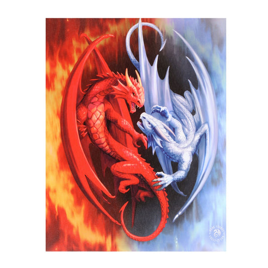 19X25CM Fire and Ice Dragons Canvas Plaque By Anne Stokes