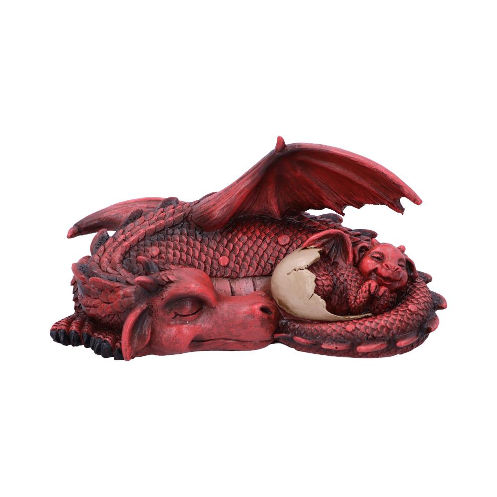 Dream a Little Dream Red Dragons 20.3cm