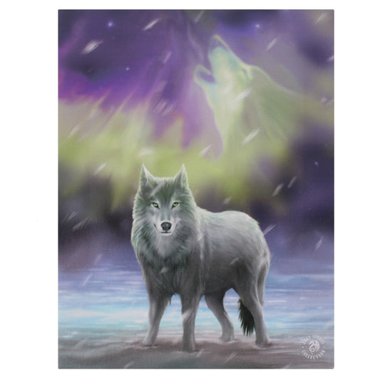 Aurora Canvas Plaque by Anne Stokes