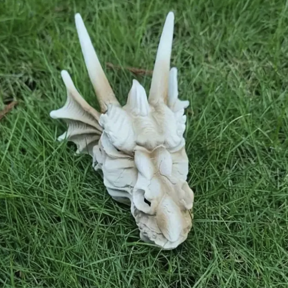 Vintage Dragon Skeleton Head