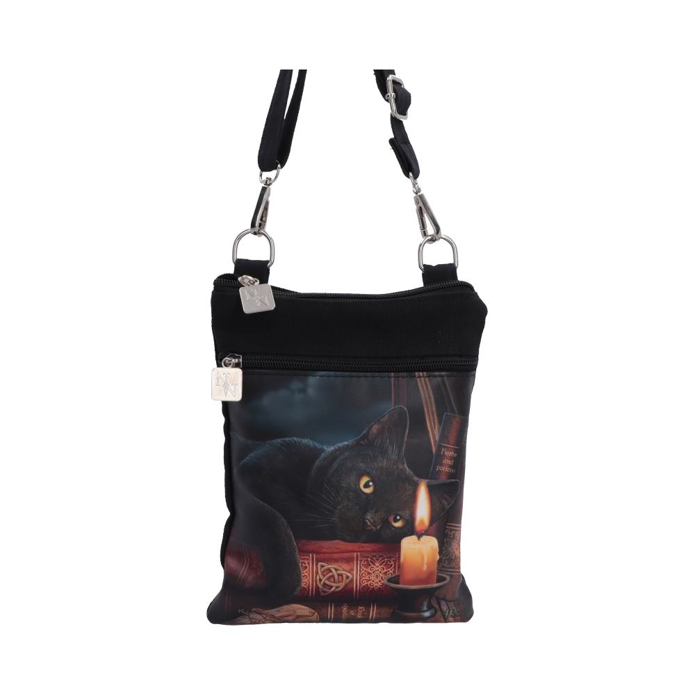 Lisa Parker The Witching Hour black cat fantasy shoulder bag front view