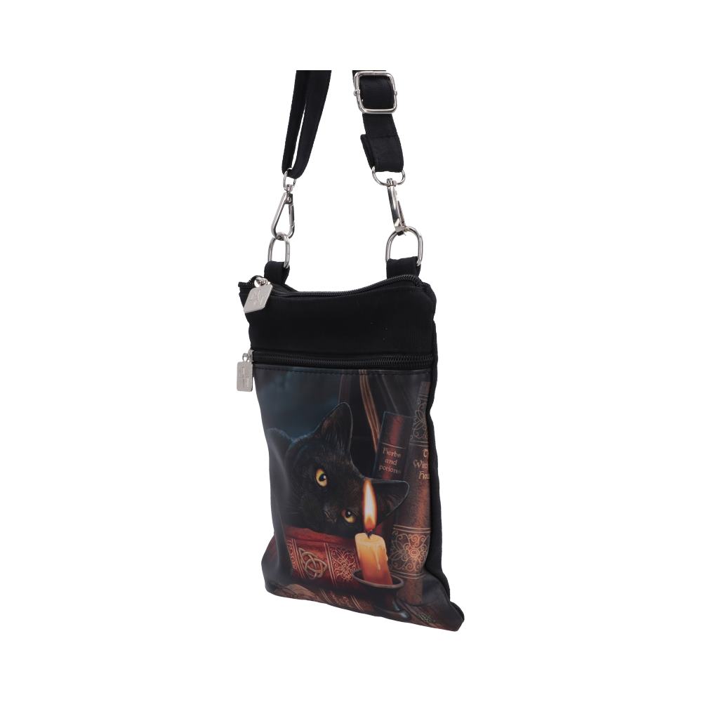 The Witching Hour fantasy cat shoulder bag by Lisa Parker angled view