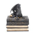 Secrets of the dragon jewellery box