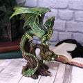 Anne Stokes Forest Dragon Figurine – Adult 25.5cm