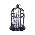 Pearl Pet Caged Dragon Ornament 8cm