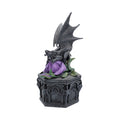 Dragon Beauty Box Anne Stokes 25cm